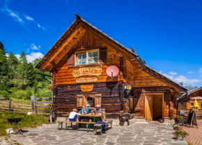 Гостиница Ferienhütte Hoitahüttl  Маутерндорф